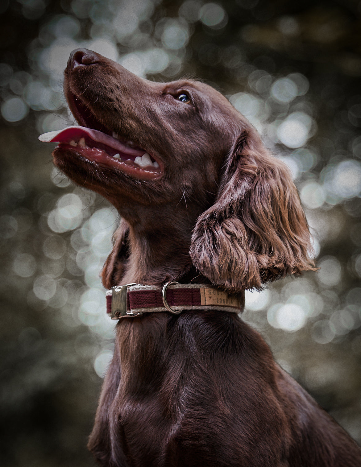 Handmade Berry Burgundy Hemp Dog Collar