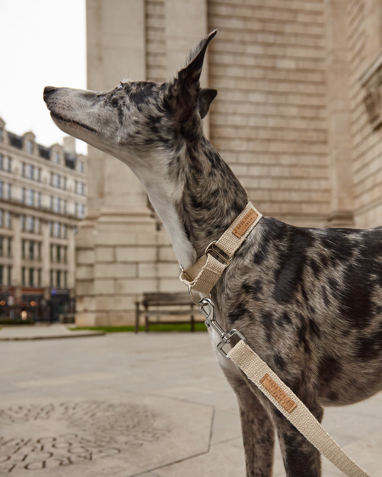 Handmade Natural Hemp Martingale Dog Collar