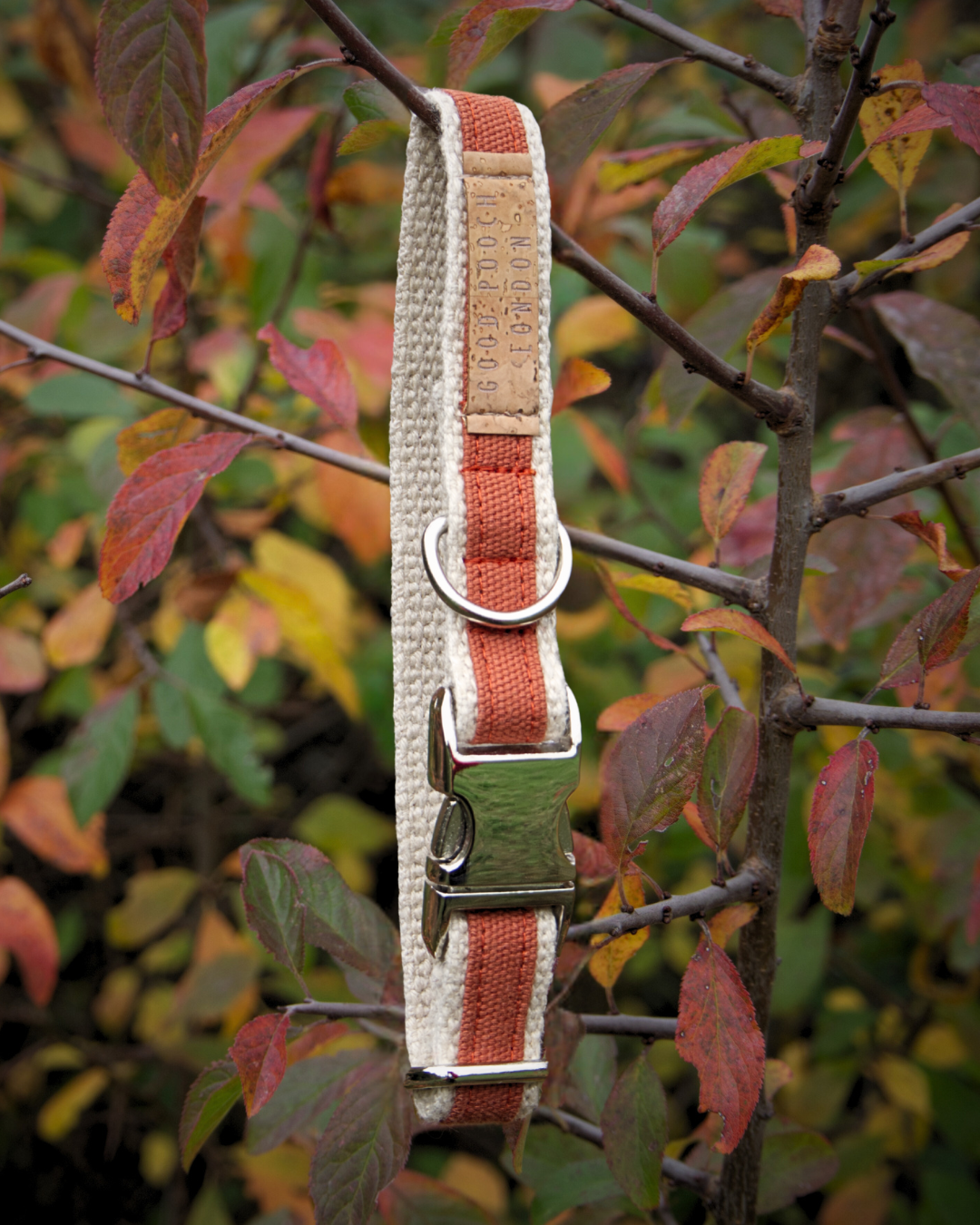 Handmade Burnt Orange Hemp Dog Collar