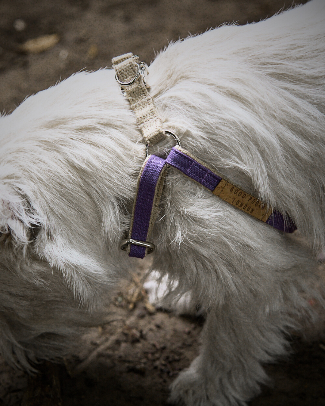 Handmade Purple Grape Hemp 'Step In' Dog Harness