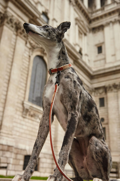 Handmade Burnt Orange Hemp Dog Lead
