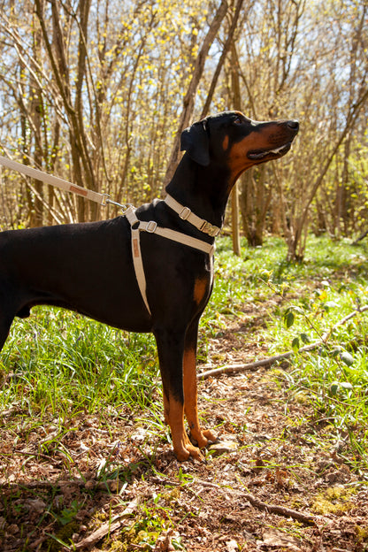 Handmade Natural Hemp Dog Collar, Harness & Lead Set