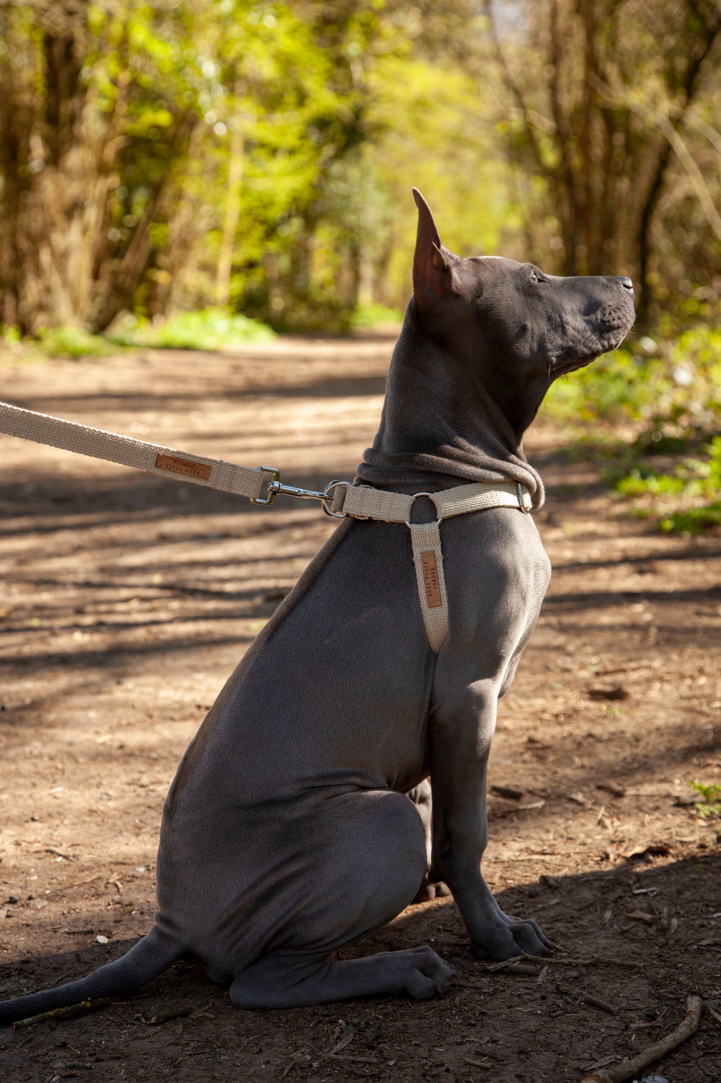 Handmade Natural Hemp Dog Lead