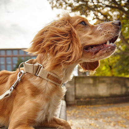 Handmade Natural Hemp Martingale Dog Collar