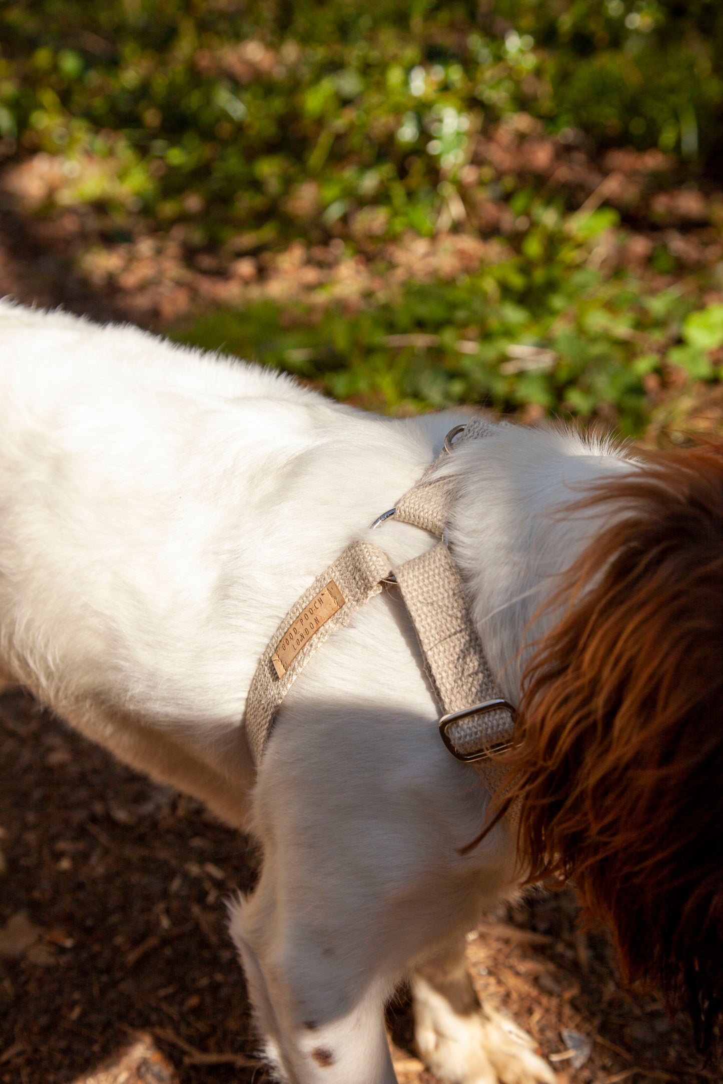 Handmade Natural Hemp 'Step In' Dog Harness
