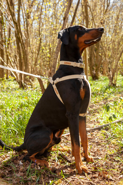 Handmade Natural Hemp 'Step In' Dog Harness