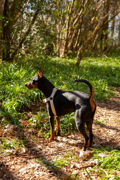 Handmade Natural Hemp 'Step In' Dog Harness