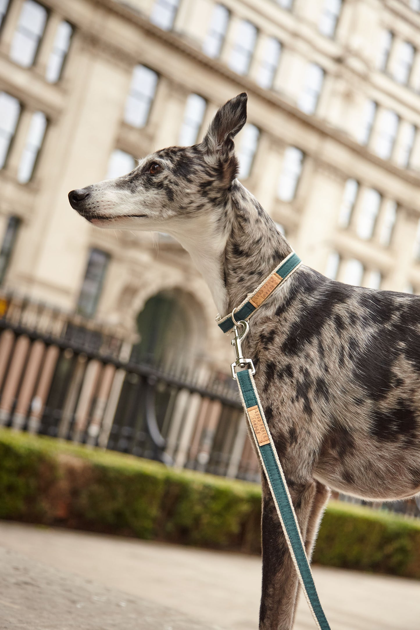 Handmade Teal Green Hemp Dog Lead