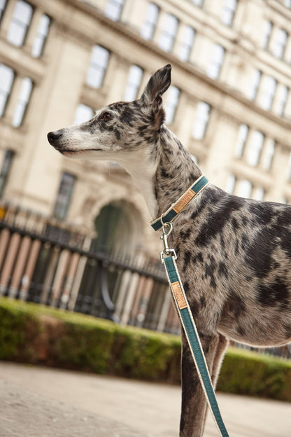 Handmade Teal Green Hemp Dog Lead