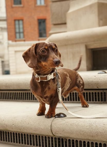 Handmade Tobacco Tan Hemp Dog Collar, Harness & Lead Set