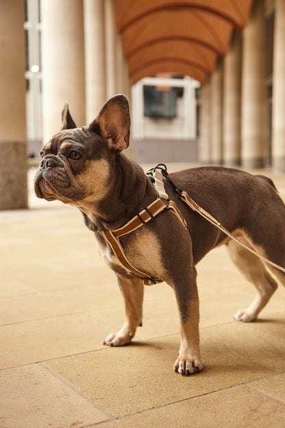 Handmade Tobacco Tan Hemp 'Step In' Dog Harness